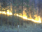 prescribed fire 1 m